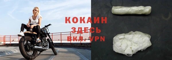 прущие грибы Аркадак