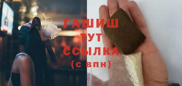 прущие грибы Аркадак