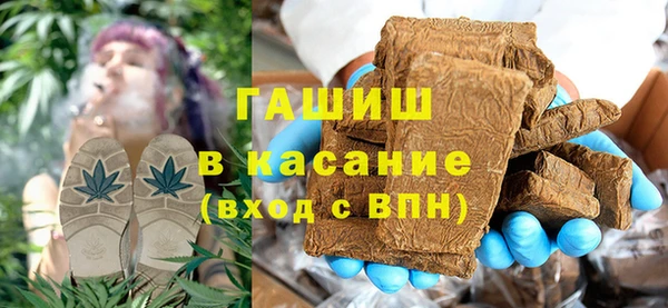 прущие грибы Аркадак