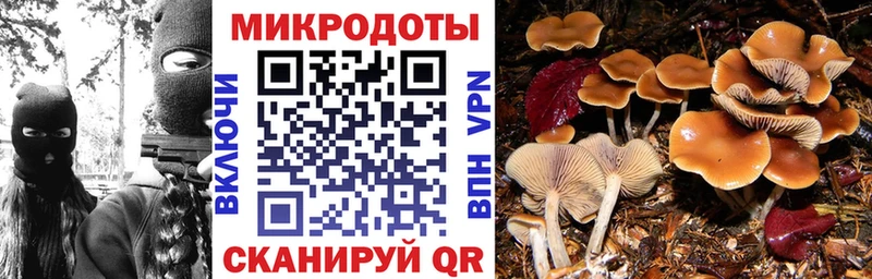 Галлюциногенные грибы мицелий  купить   Белорецк 